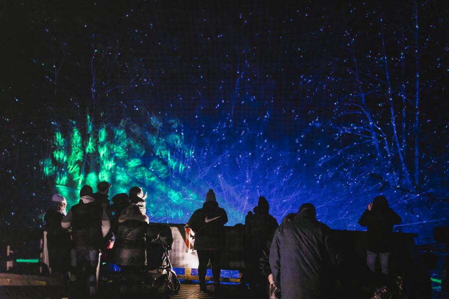 Starry Nights Dean Castle