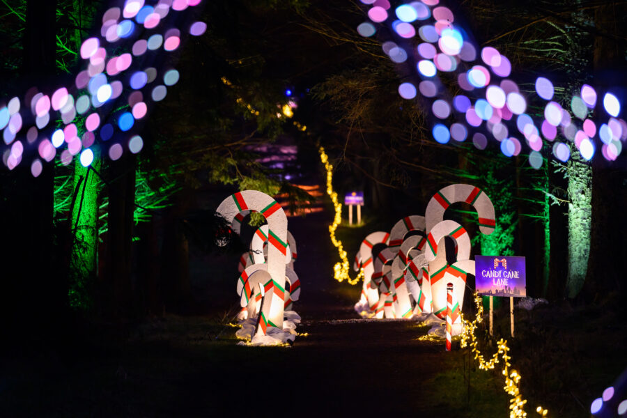 Starry Nights, Beecraigs country Park